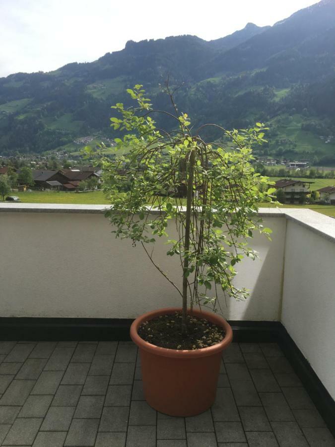 Ferienwohnung Walder Mayrhofen Esterno foto